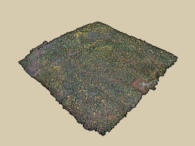 Point Cloud